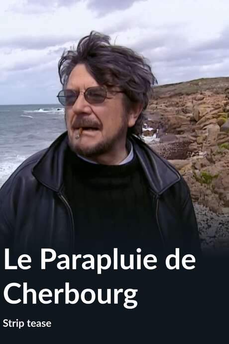 Le parapluie de Cherbourg